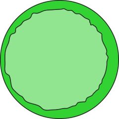 Figure 10: example of variation in glass thickness (horizontally)